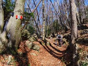 MONTE SUCHELLO (1541 m), fiorito in basso , innevato in alto, da Costa Serina il 19 marzo 2026  - FOTOGALLERY